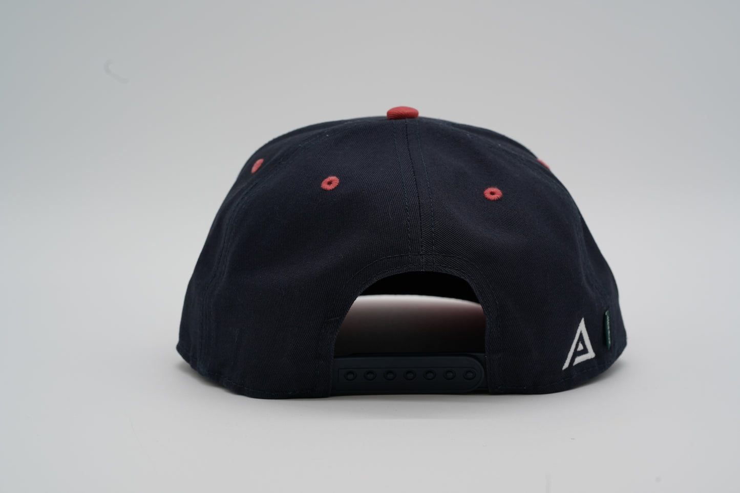 Team USA Hat