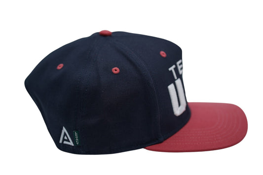 TEAM USA Hat