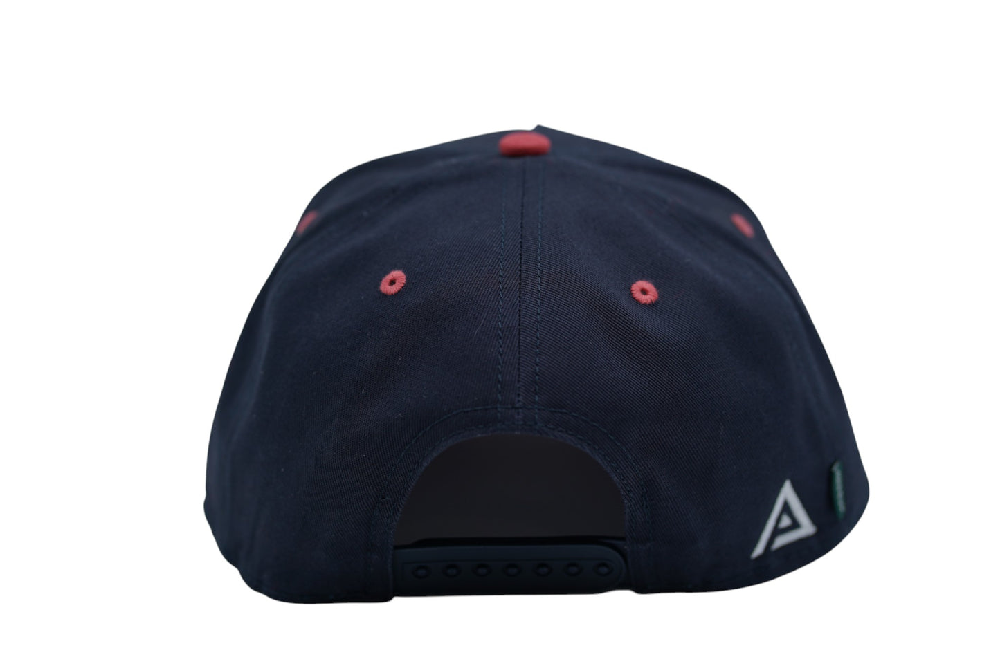 TEAM USA Hat