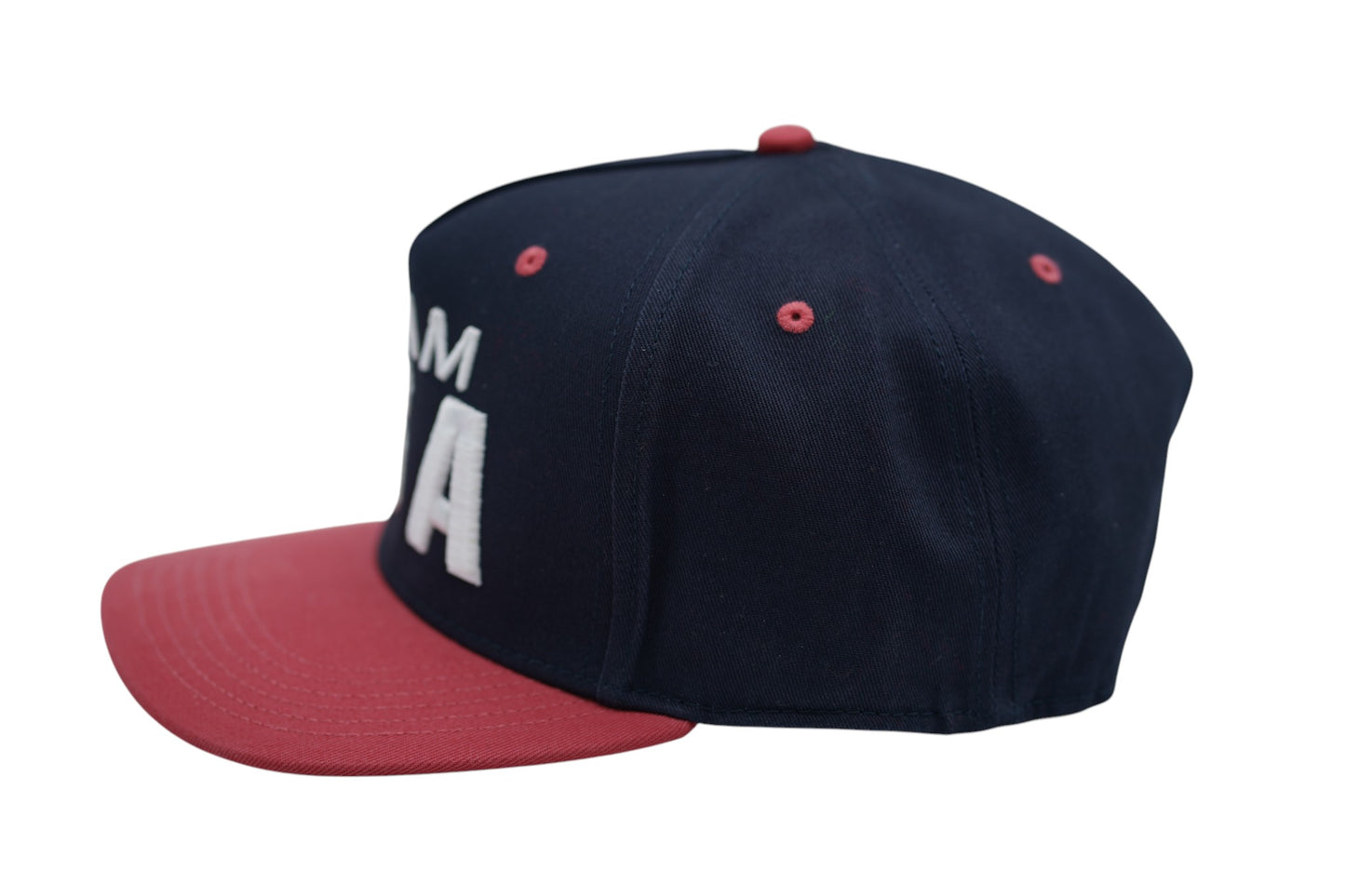 TEAM USA Hat