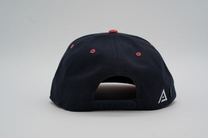 Team USA Hat
