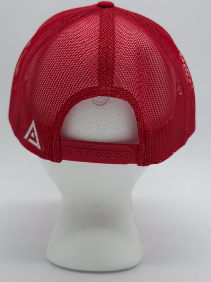 "WAR - WE ARE REPUBLICAN" Hat